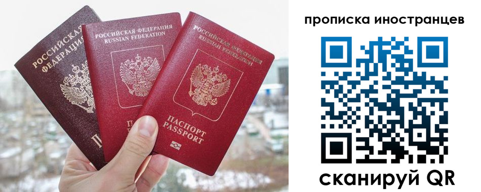 временная регистрация поиск в Кингисеппе