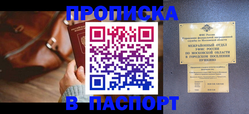 временная регистрация недорого в Кингисеппе