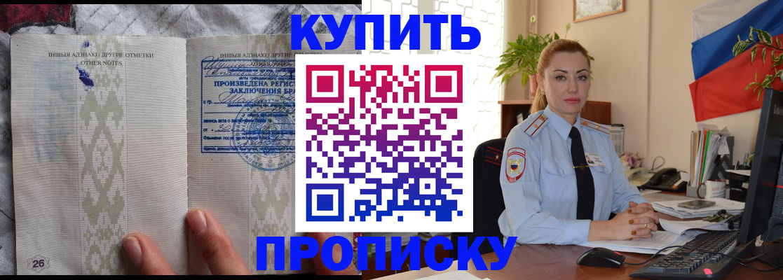 прописка поиск в Кингисеппе